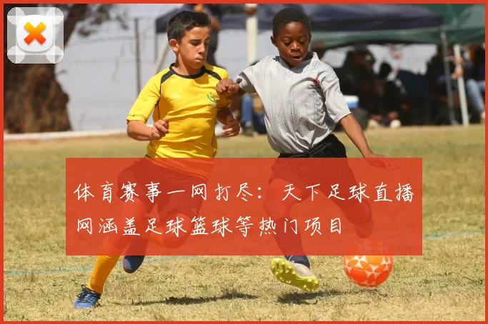 体育赛事一网打尽:天下足球直播网涵盖足球篮球等热门项目
