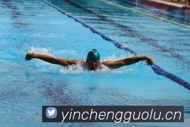 米兰网官网登录入口APP 封面图